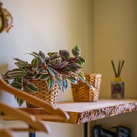 Apartman Le Jardin Suspendu *