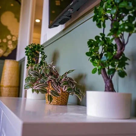 Le Jardin Suspendu * Sotteville-lès-Rouen